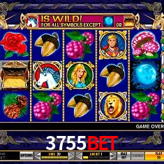 3755bet Rio de Janeiro - Bonus Terms